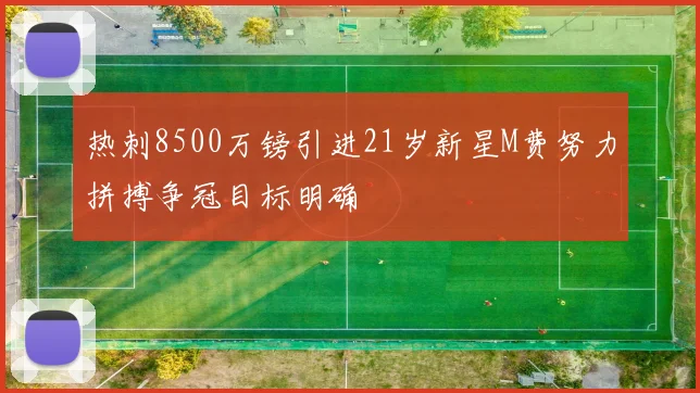 热刺8500万镑引进21岁新星M费努力拼搏争冠目标明确